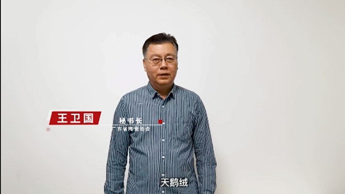 王衛國為品牌打CALL